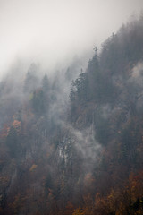 A foggy day in Switzerland