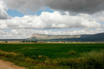 Fototapeta na wymiar Railway landscape in Almansa.