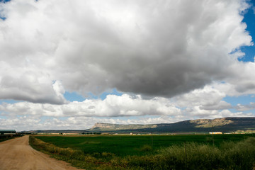 Railway landscape in Almansa.