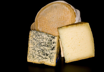 Cheeses, dairy products, made from milk.