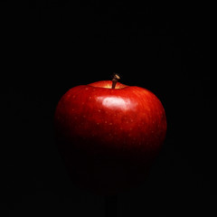 Appetizing red apple covered with drops of water on a black background. Close-up