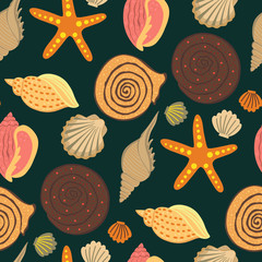 Sea shell colorful pattern.