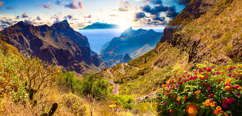 Masca valley.Canary island.Tenerife.Spain.Scenic mountain landscape.Cactus,vegetation and sunset...