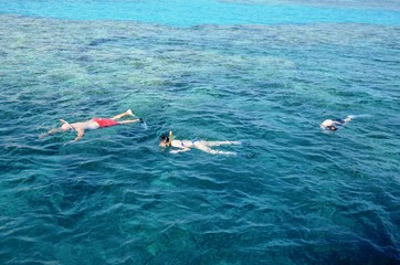 Snorkeling en Mer Rouge au large de Hurghada (Égypte)