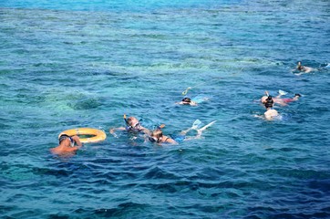 Snorkeling en Mer Rouge au large de Hurghada (Égypte)