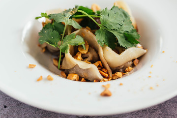 Pot Stickers Appetizer