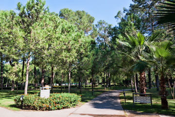 Shady alleys in the park of the Paloma Forest Resort & Spa