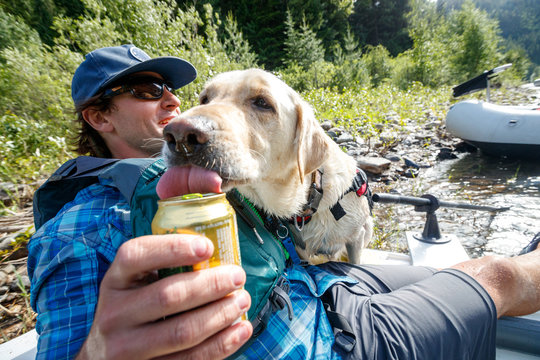 Sharing is caring - a sneaky pup grabs a lick of his owner's beer.