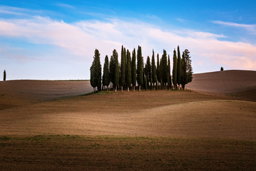 Val d'Orcia - Tuscany landscape with cypress