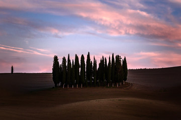 Val d'Orcia - Tuscany landscape with cypress