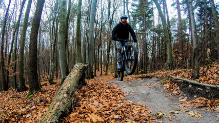 Amateur rider on the bicycle in the autumn park