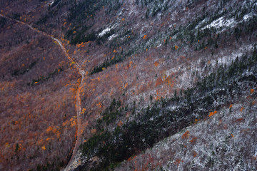 Winter is Coming: A Mix of Orange Fall Foliage and Green Firs and Pines, being Covered by an Early Snow Fall, with a Road, Mt Willard, White Mountains, New Hampshire