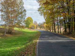 Asphalt road winding through colorful deciduous forest in the autumn with fallen leaves of oak and Maple and birch Trees, deminishing perspective, blue sky white clouds