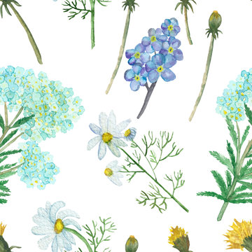 Watercolor hand painted nature herbal floral seamless pattern with white chamomile, blue yarrow and forget-me-not, yellow dandelion flowers with green leaves and branches isolated on the white