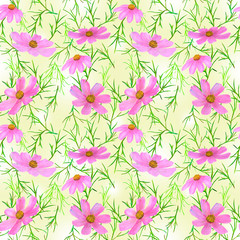 Seamless patern of summer pink flowers Cósmos. Watercolor hand drawn illustrations on a sand  background. 