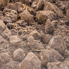 excavated land closeup, fresh soil for background.
