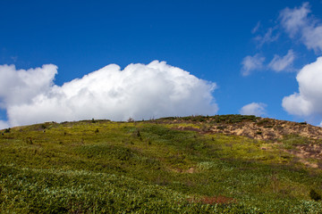 Fototapeta premium 蔵王 お鉢巡り