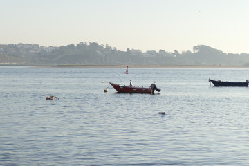 fishing boat in the sea