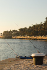 fishing rods with sea and garden as background