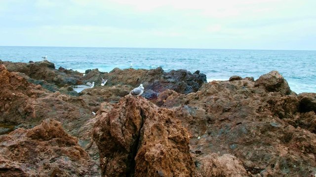 Punta Brava der kleine Ort an der Atlantikk&uuml;ste. Die Einwohner haben, ihre H&auml;user direkt an der Steilk&uuml;ste und in den Atlantik hineingebaut. Schroffe Felsen, Vulkangestein, Riffs und Steilk&uuml;ste zeichn