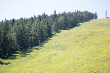 ski slope in summer on zlatibor mountin area in serbia