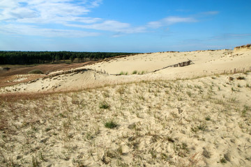 A picture from the Curonian Spit (Kursiu Nerija) National Park in Lithuania. The big sand dunes by...