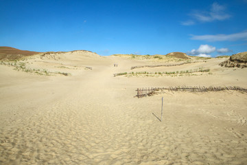 Fototapeta na wymiar A picture from the Curonian Spit (Kursiu Nerija) National Park in Lithuania. The big sand dunes by the shore during the nice sunny day. 