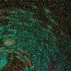 Fototapeta premium Surreal graphic fractal background. Creative design elements artwork. Digital modern art. Big size print pattern. Multicolored fantasy abstraction. Template for decor unusual production.