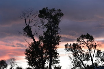 Fototapeta na wymiar Sunset Of The West 