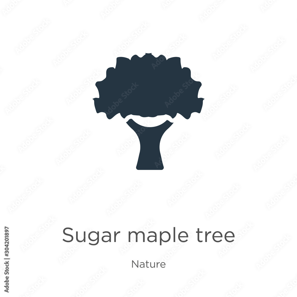 Poster sugar maple tree icon vector. trendy flat sugar maple tree icon from nature collection isolated on w