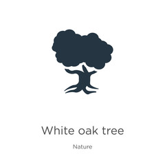 White oak tree icon vector. Trendy flat white oak tree icon from nature collection isolated on white background. Vector illustration can be used for web and mobile graphic design, logo, eps10