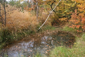 Jesień