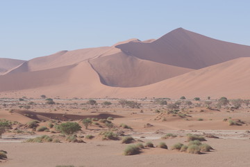 Fototapeta na wymiar Sanddüne mit Gebüschen im Vordergrund