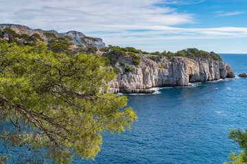 Fototapeta premium Beautiful nature of Calanques on the azure coast of France.
