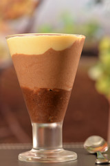 chocolate mousse with three flavors