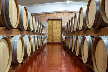 barrels in wine cellar