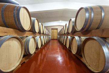 barrels in wine cellar