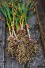 Naklejka premium Fresh garlic on wooden background.