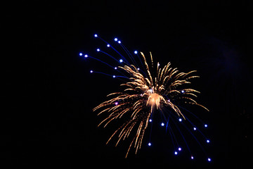 Fireworks  White And Blue 