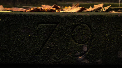 79 carved into stone