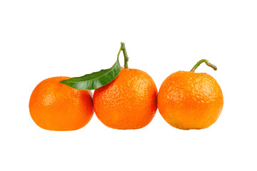 Fototapeta na wymiar three tangerine mandarin orange fruit isolated on white