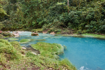 he Celeste River in Tenorio Volcano National Park, Costa Rica