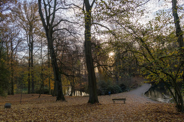 Scenic path in a park and sun through the trees wide view