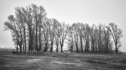 Black and white picture of a rural landscape in foggy day, Wyoming, USA.