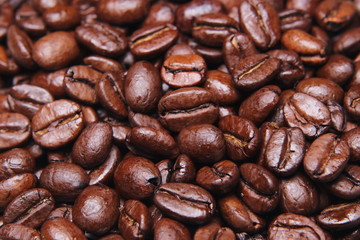 Coffee beans on the board - 304212263
