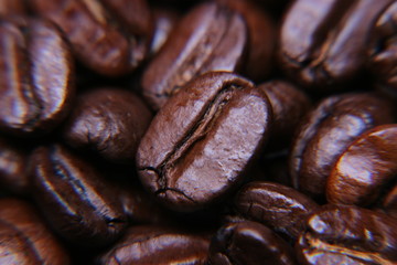 Coffee beans on the board - 304212268
