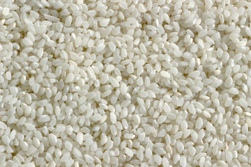 Closeup of uncooked white arborio rice