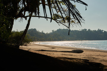 the beach of Drake Bay. Corcovado National Park, Costa Rica