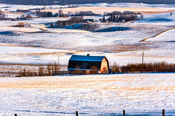Country Scenes from Southern Alberta