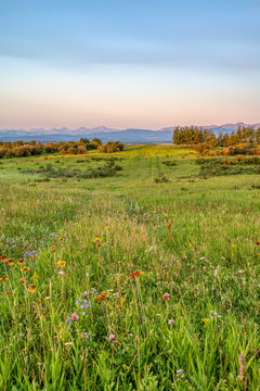 Country Scenes From Southern Alberta